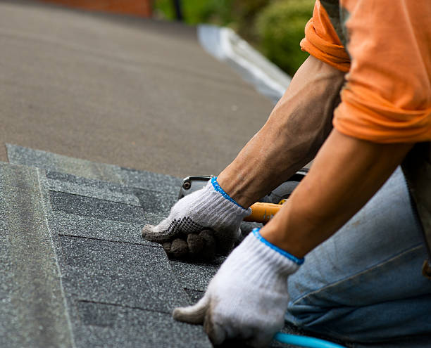 Best Residential Roof Replacement  in St Helen, MI