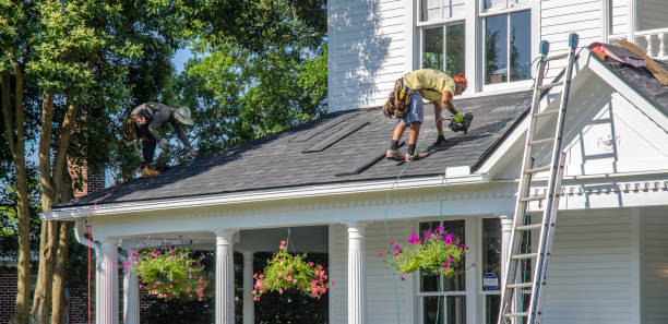 Best Flat Roof Repair Services  in St Helen, MI