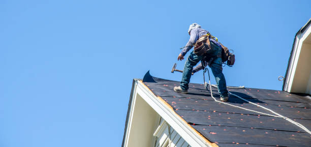 Best Roof Maintenance Services  in St Helen, MI